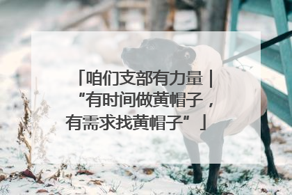 咱们支部有力量｜“有时间做黄帽子，有需求找黄帽子”