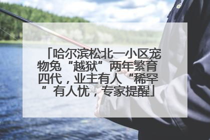 哈尔滨松北一小区宠物兔“越狱”两年繁育四代，业主有人“稀罕”有人忧，专家提醒