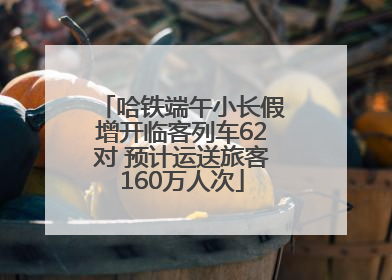哈铁端午小长假增开临客列车62对 预计运送旅客160万人次