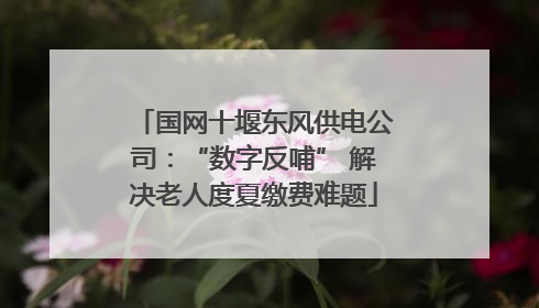 国网十堰东风供电公司：“数字反哺” 解决老人度夏缴费难题