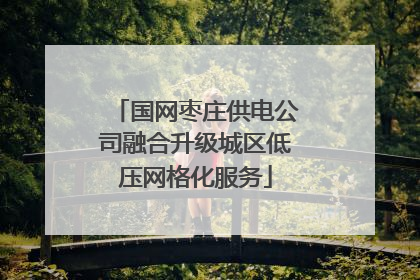 国网枣庄供电公司融合升级城区低压网格化服务