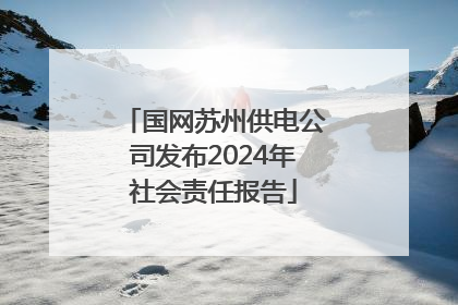 国网苏州供电公司发布2024年社会责任报告