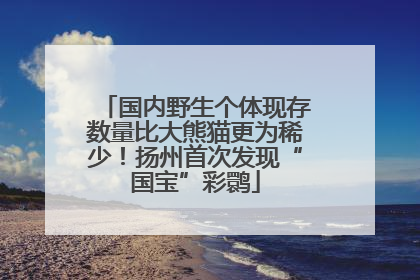 国内野生个体现存数量比大熊猫更为稀少！扬州首次发现“国宝”彩鹮