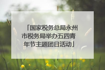 国家税务总局永州市税务局举办五四青年节主题团日活动