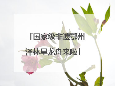 国家级非遗鄂州泽林旱龙舟来啦