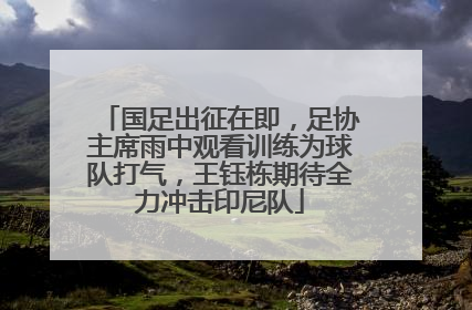 国足出征在即，足协主席雨中观看训练为球队打气，王钰栋期待全力冲击印尼队