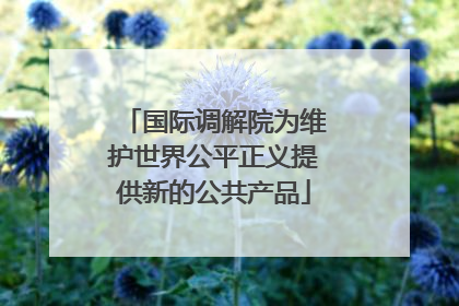 国际调解院为维护世界公平正义提供新的公共产品