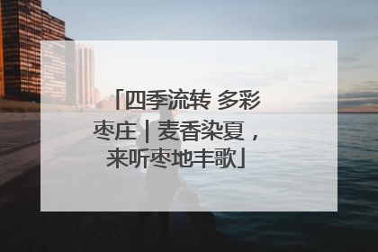 四季流转 多彩枣庄｜麦香染夏，来听枣地丰歌