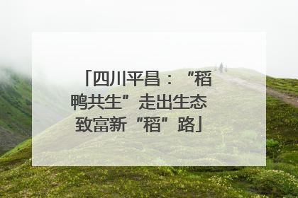 四川平昌：“稻鸭共生”走出生态致富新“稻”路