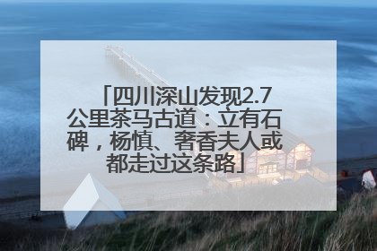 四川深山发现2.7公里茶马古道：立有石碑，杨慎、奢香夫人或都走过这条路