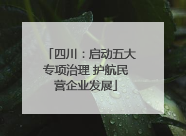 四川：启动五大专项治理 护航民营企业发展