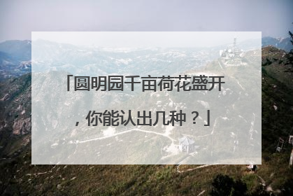 圆明园千亩荷花盛开，你能认出几种？