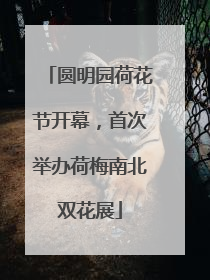 圆明园荷花节开幕，首次举办荷梅南北双花展