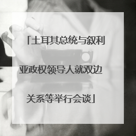 土耳其总统与叙利亚政权领导人就双边关系等举行会谈