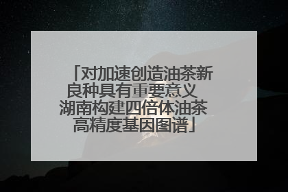 对加速创造油茶新良种具有重要意义 湖南构建四倍体油茶高精度基因图谱