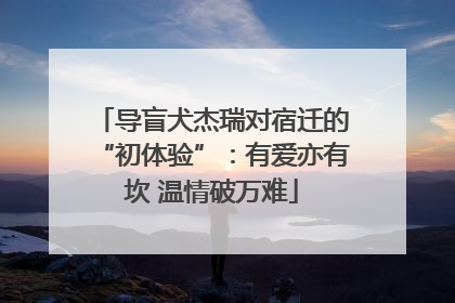 导盲犬杰瑞对宿迁的“初体验”：有爱亦有坎 温情破万难