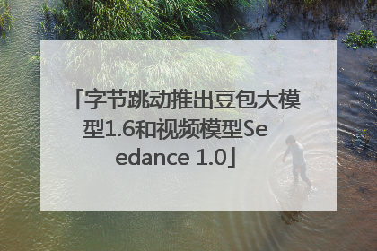 字节跳动推出豆包大模型1.6和视频模型Seedance 1.0