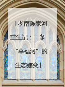 孝南陈家河重生记：一条“幸福河”的生态蝶变