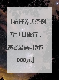 宿迁养犬条例7月1日施行，违者最高可罚5000元