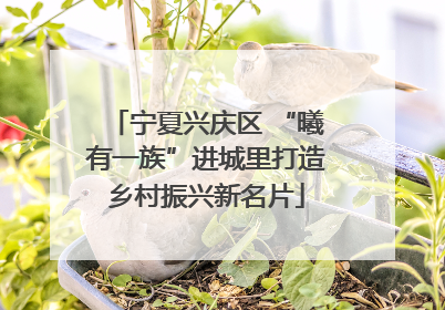 宁夏兴庆区 “曦有一族”进城里打造乡村振兴新名片