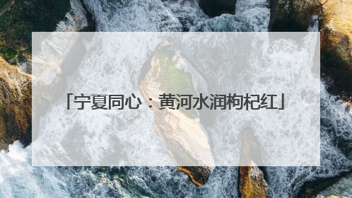 宁夏同心：黄河水润枸杞红