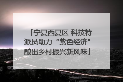 宁夏西夏区 科技特派员助力“紫色经济”酿出乡村振兴新风味