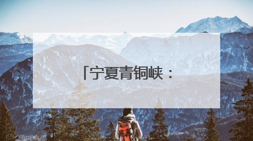 宁夏青铜峡：以“新”破题 向“绿”而行