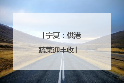 宁夏：供港蔬菜迎丰收