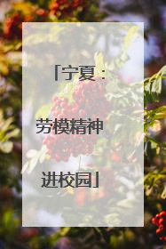 宁夏：劳模精神进校园
