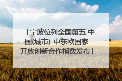 宁波位列全国第五 中国(城市)-中东欧国家开放创新合作指数发布