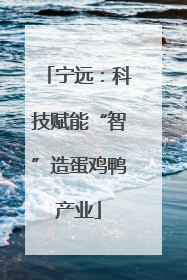 宁远：科技赋能“智”造蛋鸡鸭产业