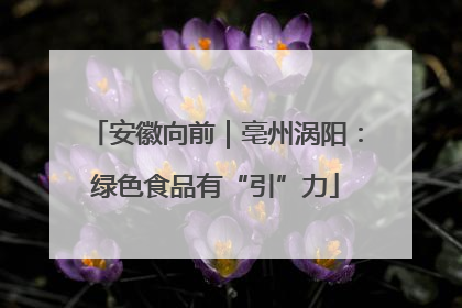安徽向前｜亳州涡阳：绿色食品有“引”力