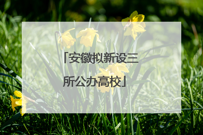安徽拟新设三所公办高校
