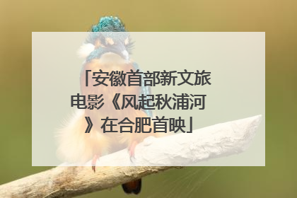 安徽首部新文旅电影《风起秋浦河》在合肥首映
