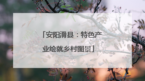 安阳滑县：特色产业绘就乡村图景