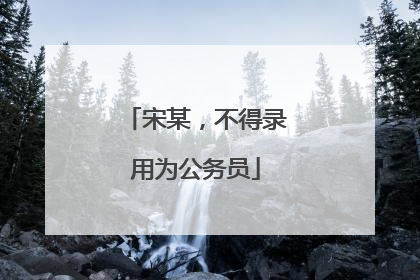 宋某，不得录用为公务员