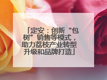 定安：创新“包树”销售等模式，助力荔枝产业转型升级和品牌打造