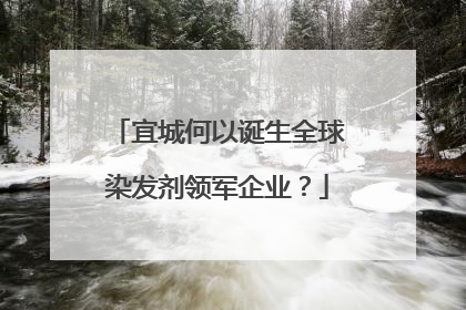 宜城何以诞生全球染发剂领军企业？