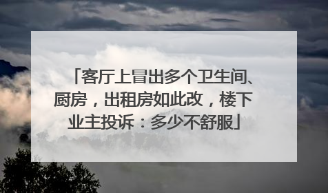 客厅上冒出多个卫生间、厨房，出租房如此改，楼下业主投诉：多少不舒服