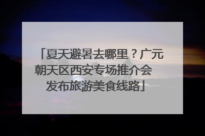 夏天避暑去哪里？广元朝天区西安专场推介会 发布旅游美食线路