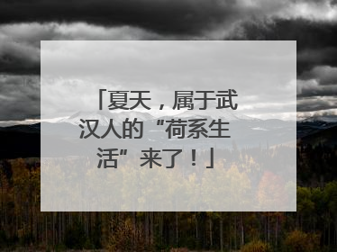 夏天，属于武汉人的“荷系生活”来了！