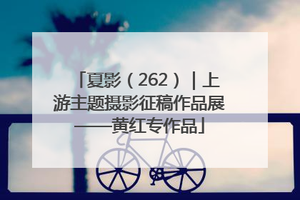 夏影（262）｜上游主题摄影征稿作品展——黄红专作品