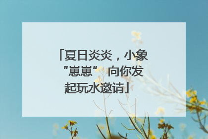 夏日炎炎，小象“崽崽” 向你发起玩水邀请