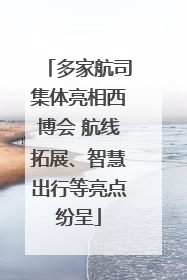 多家航司集体亮相西博会 航线拓展、智慧出行等亮点纷呈