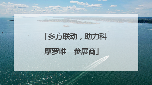 多方联动，助力科摩罗唯一参展商
