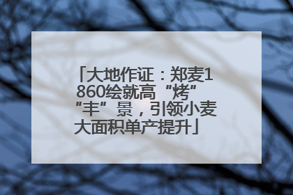 大地作证：郑麦1860绘就高“烤”“丰”景，引领小麦大面积单产提升