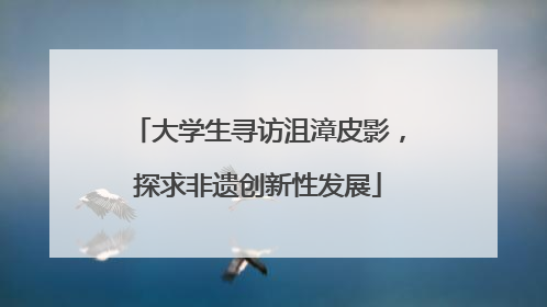 大学生寻访沮漳皮影，探求非遗创新性发展