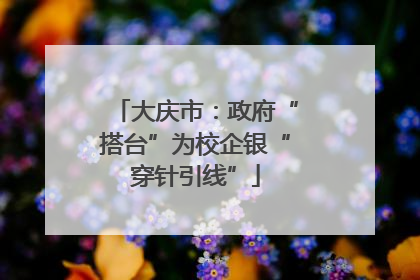 大庆市：政府“搭台”为校企银“穿针引线”