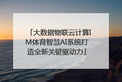 大数据物联云计算IM体育智慧AI系统打造全新关键驱动力