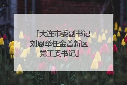 大连市委副书记刘恩举任金普新区党工委书记